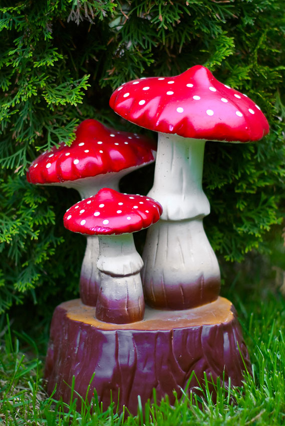 polkadot red garden mushrooms