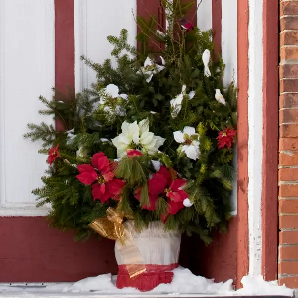 winter-ideas-my-garden-insider