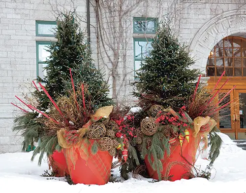 winter-ideas-my-garden-insider2